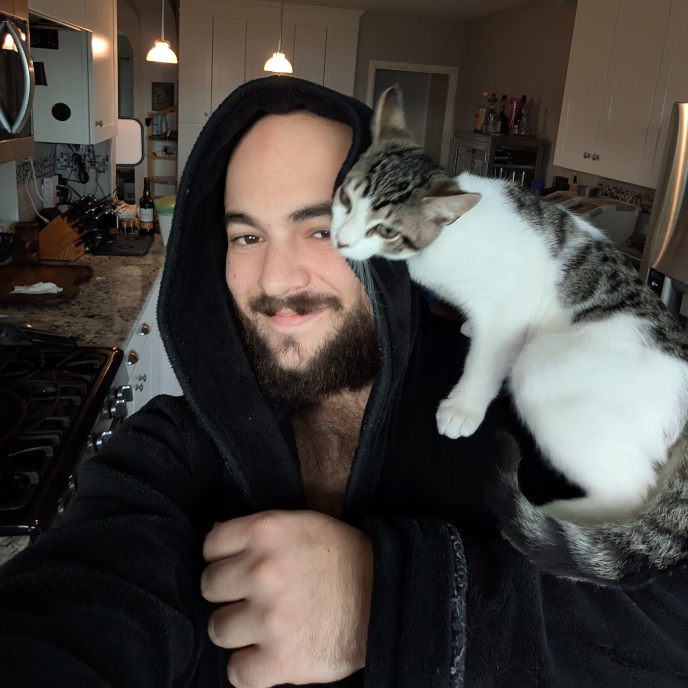 This cat loves me