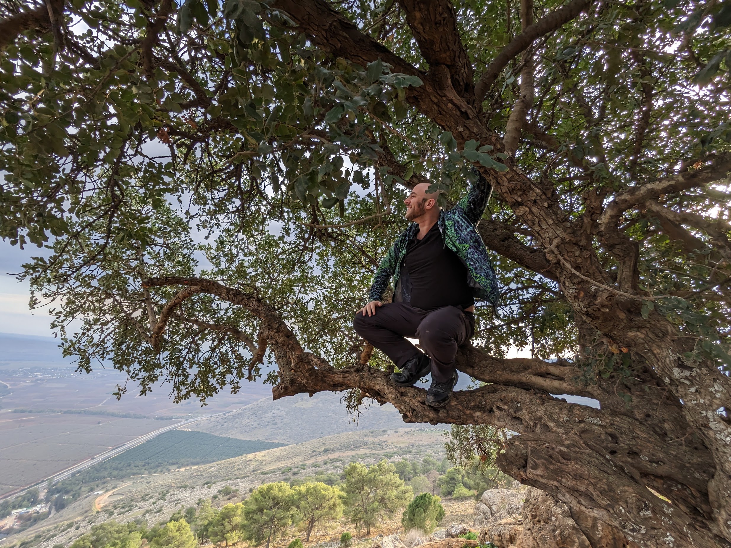 Climbing trees is pretty fun